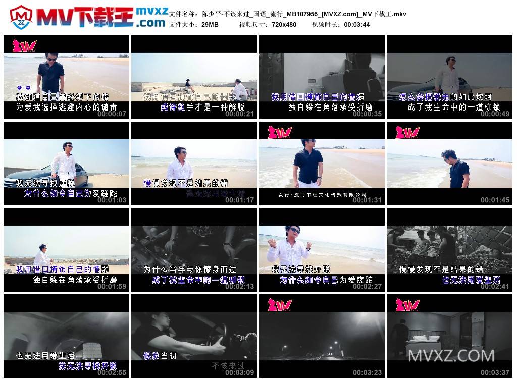 陈少平-不该来过_国语_流行_MB107956
